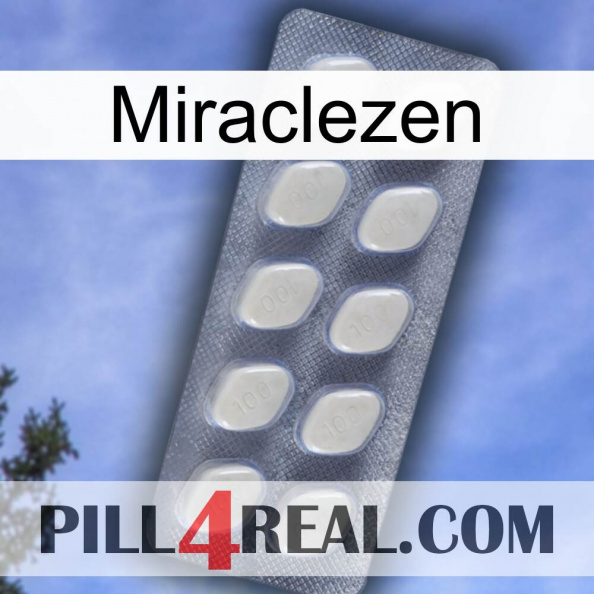 Miraclezen 08.jpg